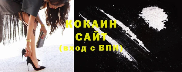 прущие грибы Покров