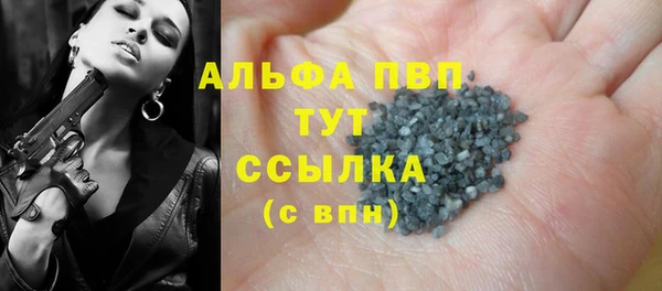 прущие грибы Покров