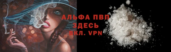 прущие грибы Покров