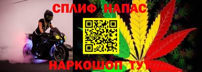 ECSTASY Тверь