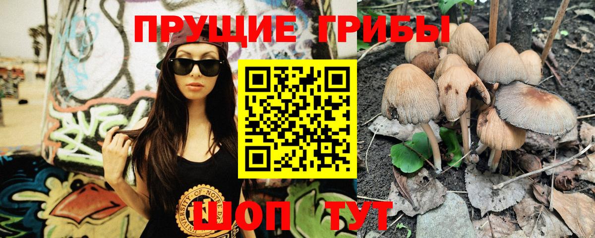 Псилоцибиновые грибы Magic Shrooms Рославль