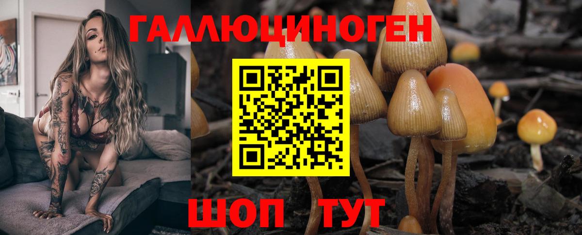 Рославль  Галлюциногенные грибы прущие грибы  Вход с VPN 